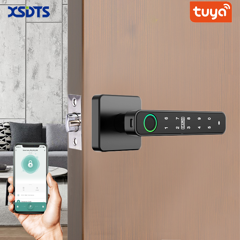 Smart Home Website - Умный дверной замок XSDTS Tuya с